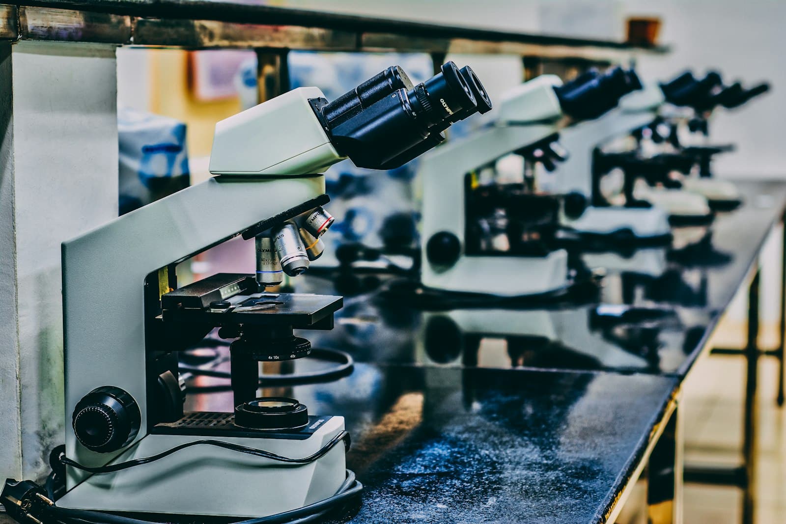Row of microscopes on a teaching lab bench