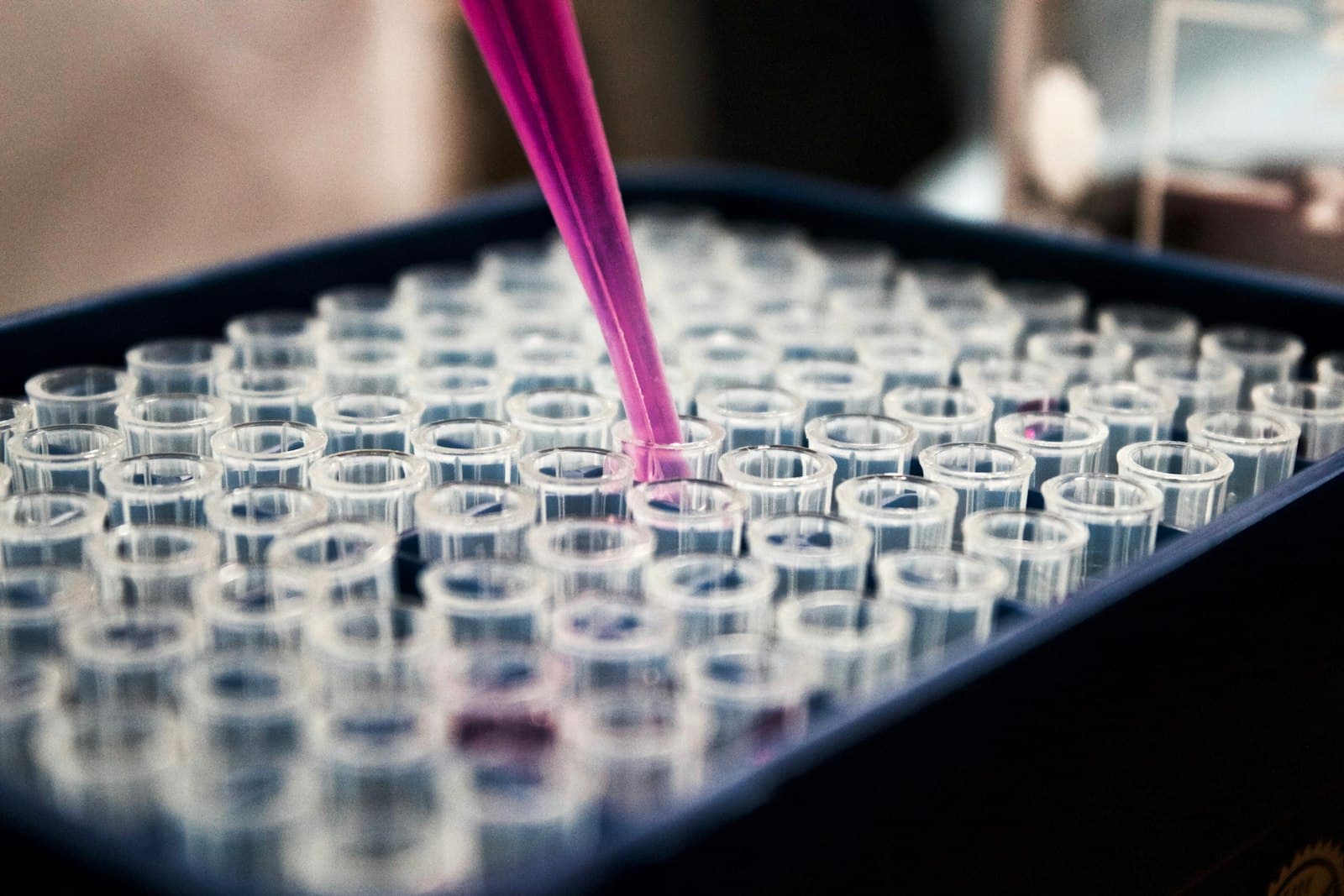 Pipette dispensing into a rack of sample tubes