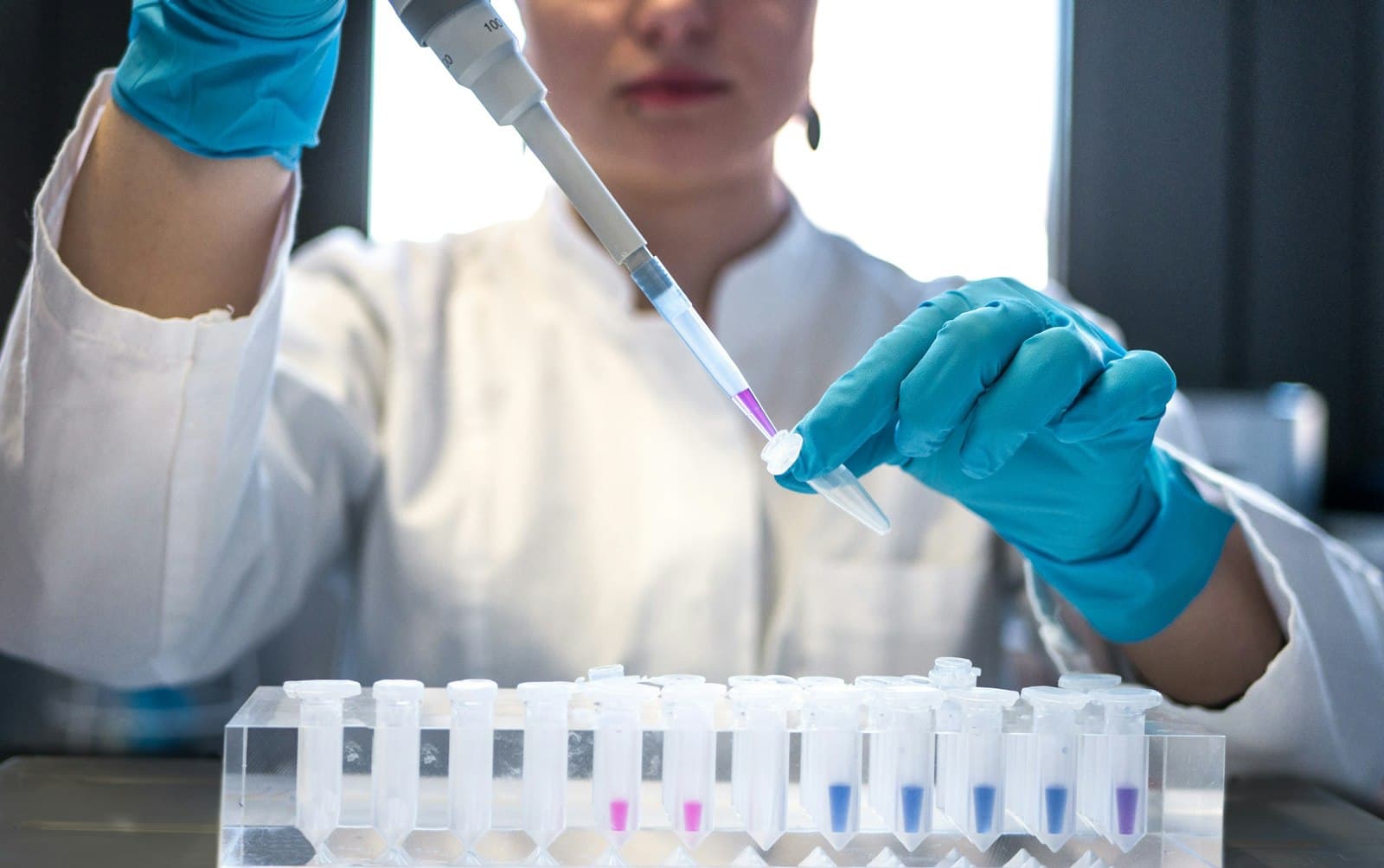 Gloved scientist pipetting samples into tubes
